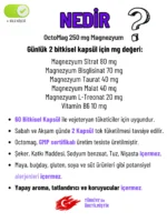 içerik octomag