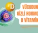 D VİTAMİNİ